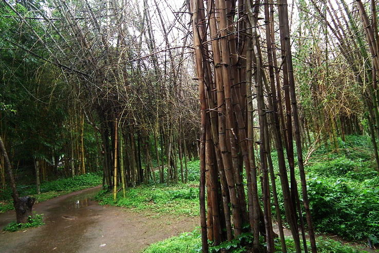 8. Cauvery Nisargadhama